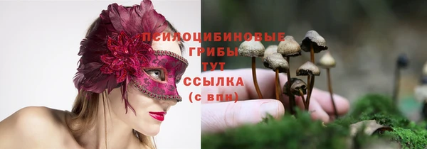 не бодяженный Нягань
