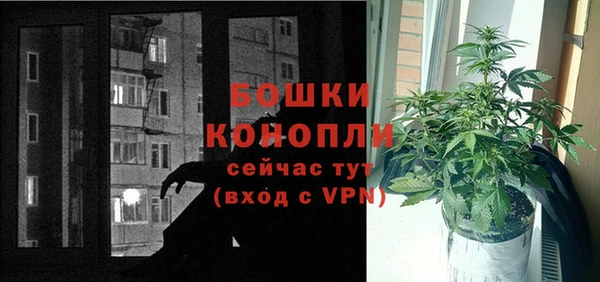 первитин Новозыбков