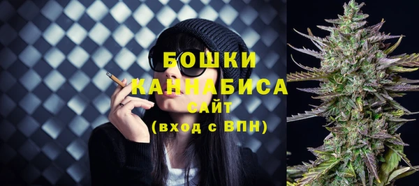 шишки Билибино