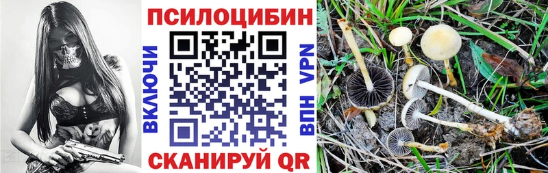 Псилоцибиновые грибы MAGIC MUSHROOMS  купить наркоту  Отрадная 